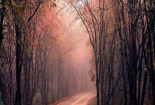 AC米兰的阵容，这里有谁？.