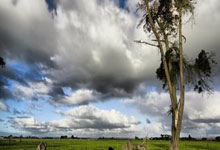 全国春季游泳锦标赛男子100米蛙泳决赛：覃海洋58秒66夺得金牌.