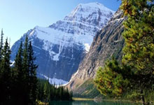 罗梅罗拉倒努涅斯引发大规模冲突！麦卡出头劝架情绪激动.