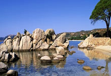 狂欢！邮报：将有超过20万名球迷参加纽卡英联杯夺冠游行.